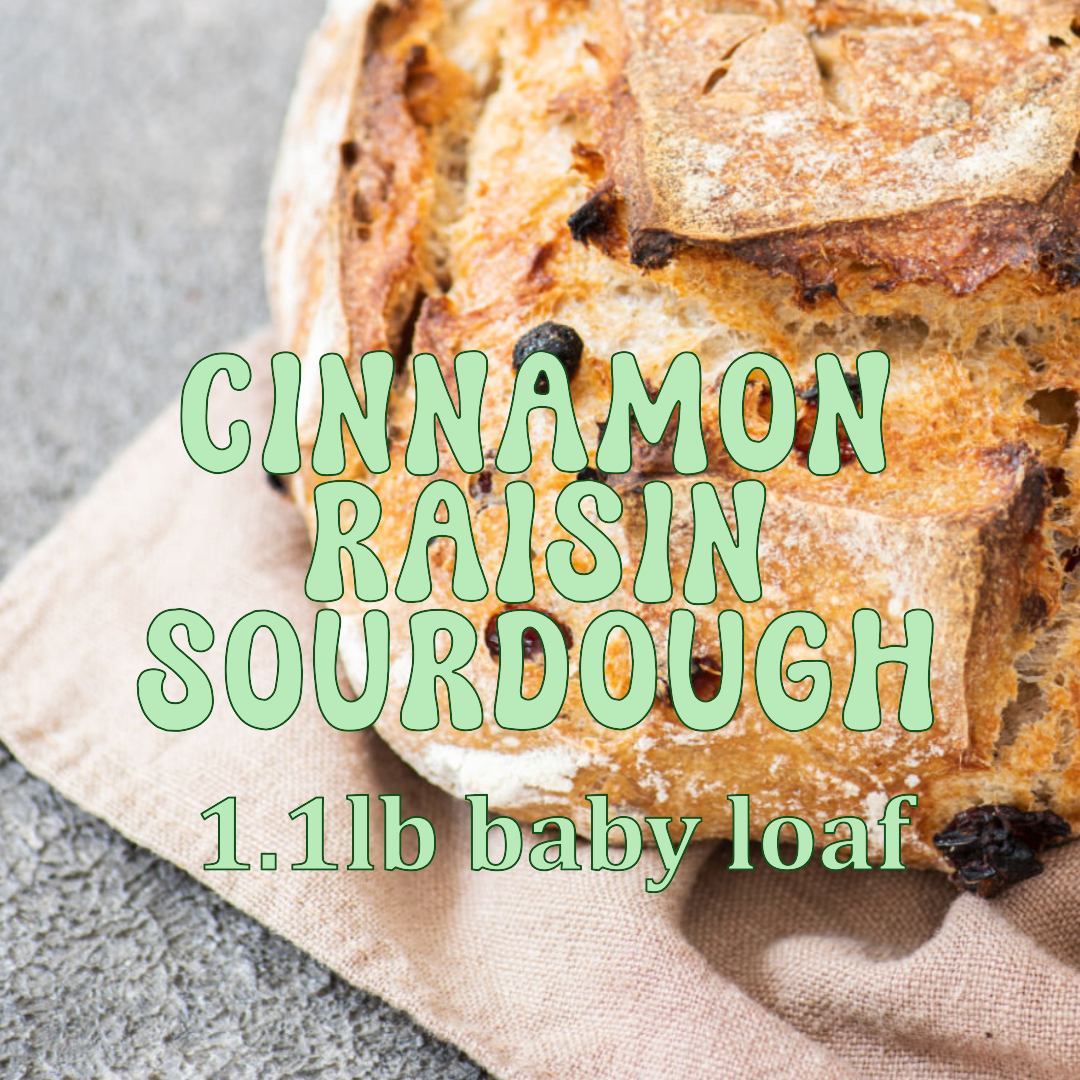 Cinnamon Raisin Sourdough Bread - year 1847 Baby Loaf 1.1lbs